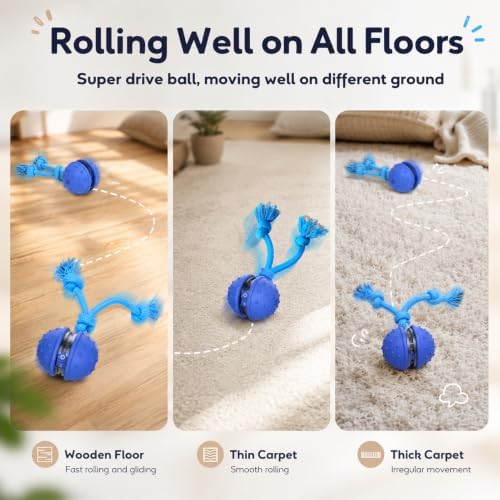Interactive Dog Toys, Automatic Moving Dog Ball with Rope, Motion Activated, Squeaky, USB Rechargeable, Active Rolling Ball for Puppy
