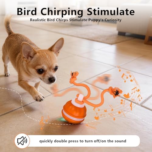 Interactive Dog Toys Ball, 3 Modes & Powerful Motor, Random Movement & Swinging Rope, Bird Chirping Stimulate, USB C Rechargeable for Small Medium Dogs for Boredom, Anxiety Relief