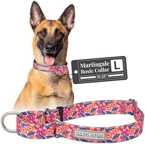 Lucky Love Dog Martingale Collar for Large Dogs No Slip Cute – Rosie, Large
