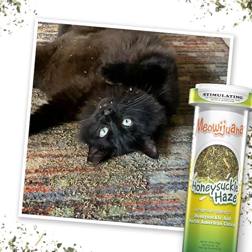 Meowijuana Get Buzzed Bundle for Cats | Refillable Plush on Wand + Blend