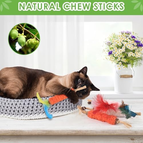 TINDTOP Cat Chew Toys, 6 Pack Silvervine Catnip Sticks for Kittens