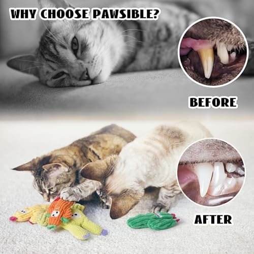 Cactus Catnip Toys, 100% Pure Organic Catnip-Filled Toys Without Cotton