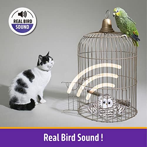 Kimee Cat Toy Automatic Chirping Owl Interactive Toys with Catnip