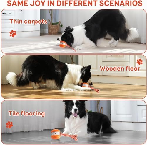 Interactive Dog Ball,Random Path Electric Moving Dogs Toy with Rope | Motion-Activated Automatic Rolling Interactive Dog Toy, USB-C Charging, 2 Speeds, For Small/Medium/Large Dogs.