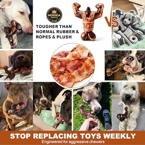 MOXIKIA Heavy Duty Dog Chew Toy for Aggressive Chewers, Medium Large Breed