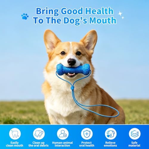 Dog Teeth Cleaning Chew Toy Dental Brush Bone