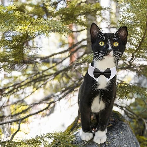 Cat Tuxedo, KOOLMOX Black Cat Bow Tie Sewed with Handcrafted Adjustable White Collar for Formal Pet, Male Cat Collar for Small Puppy Boy Dog Collars Cats Wedding Outfit Birthday Gift Dog Bows