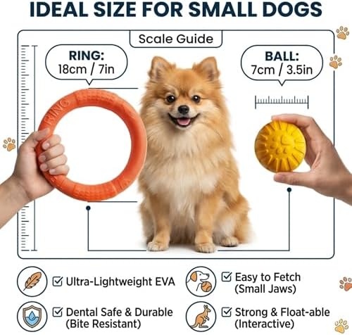Small Dog Ball with Strap, Floating EVA Interactive Toy (Orange, Small)