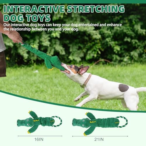 KOOLTAIL Alligator Dog Toys, Tough Plush Dog Chew & Squeaky Toys with Crinkle Paper, Interactive Training & Tug of War Puppy Teething Toy for Indoor Outdoor Play, Pet Toy for Small Medium Large Dogs