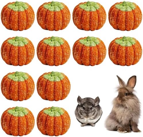 Fhiny 12 PCS Rabbit Chew Toys, Natural Pumpkin Carrot Timothy Grass Guinea Pig Chew Toys for Teeth Bunny Molar Snacks Dental Care Hamster Treats for Bunny Guinea Pig Chinchilla Hamster Gerbil
