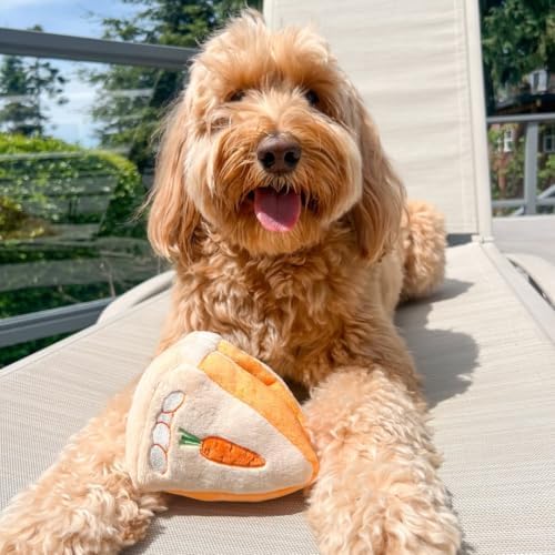 CHEWFFON Dog Interactive Toy, Puzzle Snuffle Carrot Cake for Enrichment
