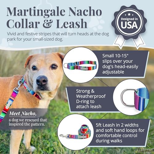 Lucky Love Dog Martingale Collar & Leash Set Cute – Nacho Color and, Small