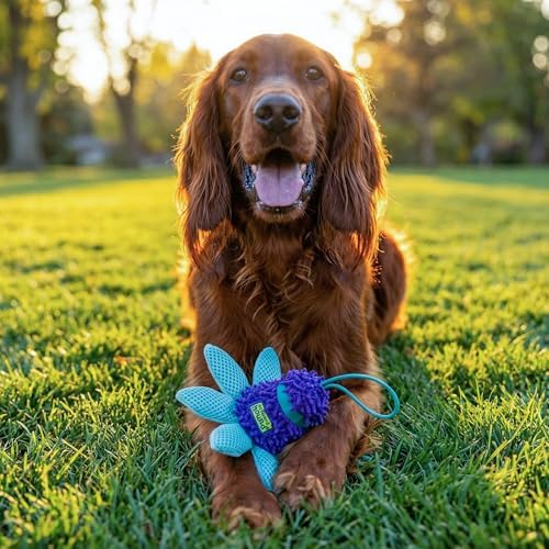 Outward Hound FlyFetch Teaser Wand Dog Toy with Crinkle Attachment, Durable for Indoor & Outdoor Play, All Breeds, 17.7"