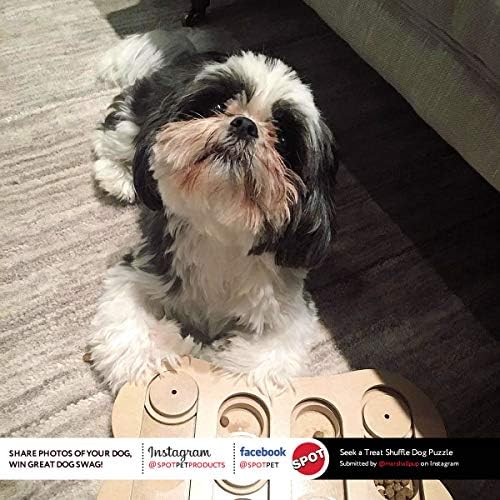 SPOT Interactive Seek-A-Treat Shuffle Bone Dog Toy Puzzle | Dog Treat Reward Toy Improves Your Dog's IQ | Specially Designed for Training Treats