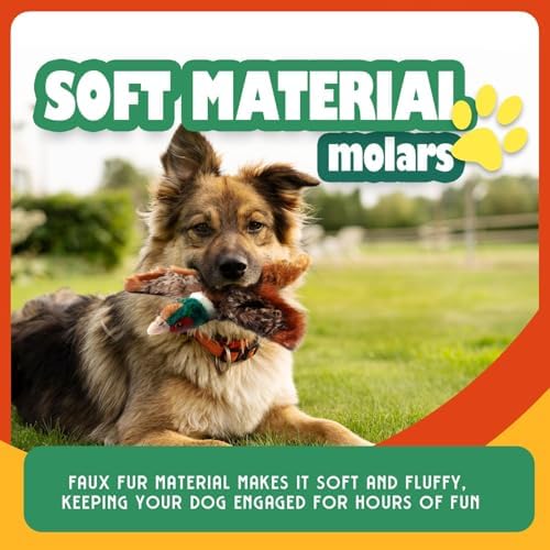 ALL FOR PAWS Dog Interactive Pheasant Toys, Squeaky Dog Toys, Stuffed Animal Dog Hunting Plush Toy, Small