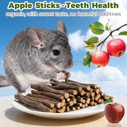 Rotating Chinchilla Chew Toys and 250g(0.55lb) Organic Apple Sticks
