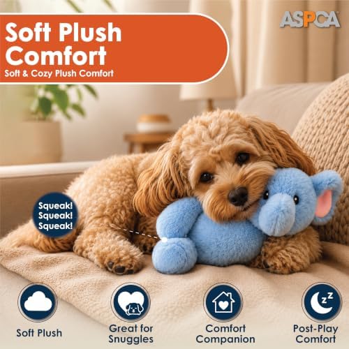 ASPCA Plush Squeaky Dog Toy for Small, Medium & Large Dogs – Soft Round Plush Pet Toy with Full Body Squeaker, Lightweight Fetch Toy for Indoor Play, Cuddling & Enrichment, Elephant