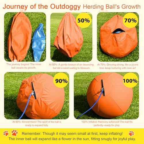 18'' Herding Ball for Dogs, Heavy Duty for Small & Medium Breeds