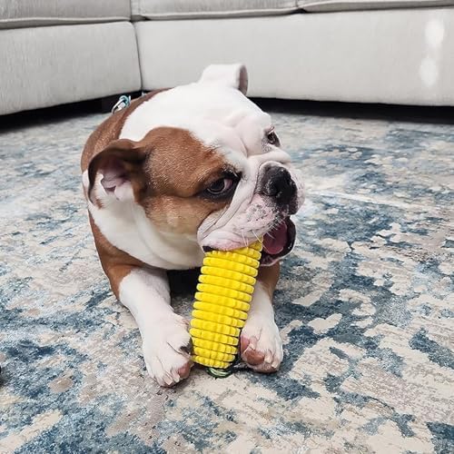 H&H Pets Interactive Corn Chew Toy for Dogs – Durable Squeaky Interactive Toy, Aggressive Chewers, Puppy & Adult Dog Teeth Cleaner, Medium Breeds
