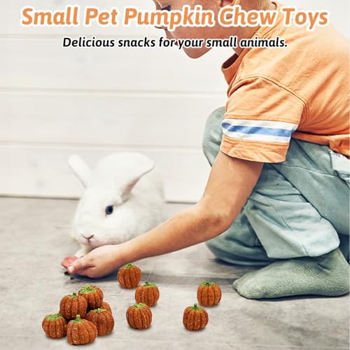 Fhiny 12 PCS Rabbit Chew Toys, Natural Pumpkin Carrot Timothy Grass Guinea Pig Chew Toys for Teeth Bunny Molar Snacks Dental Care Hamster Treats for Bunny Guinea Pig Chinchilla Hamster Gerbil