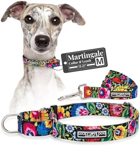 Lucky Love Dog Martingale Collar & Leash Set No Slip – Blackbird, Medium
