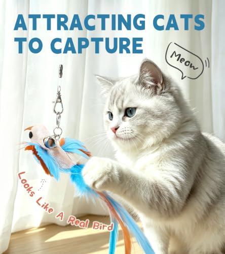 SONGWAY Interactive Cat Wand Toy Set - Retractable Cat Teaser Wand with 8 PCS Cat Toy Attachments, Dragonfly Butterfly Bird Mouse Tassel Feather Cat Toy Refills for Indoor Cats Kittens, Blue