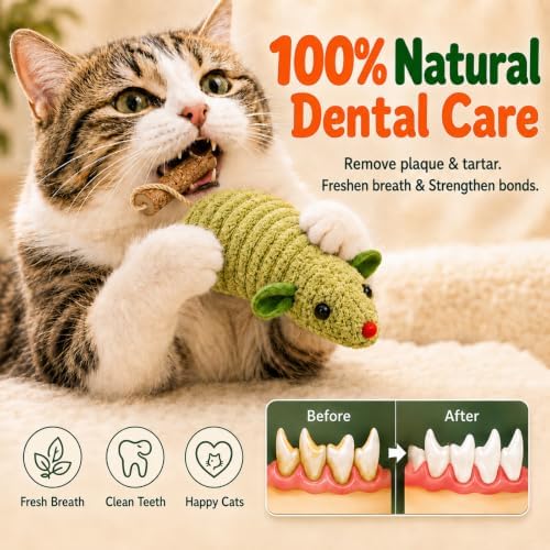 Cat Mouse Toy, 3-Piece Set of Catnip Mice, Interactive Cat Toy for Kittens