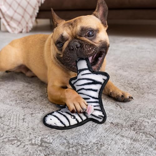 SHARLOVY No Stuffing Dog Toys Crinkle Squeaky, Long Lasting Chews for Aggressive, Durable Plush Dog Puppy Chew Toys for Teething, with 6 Tough Layers for Small Medium Large Breed-2 Pack,Small
