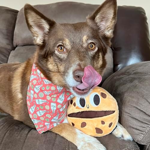 CHEWFFON Cookie Snuffle Dog Toy, Hide & Seek Treat Enrichment Game