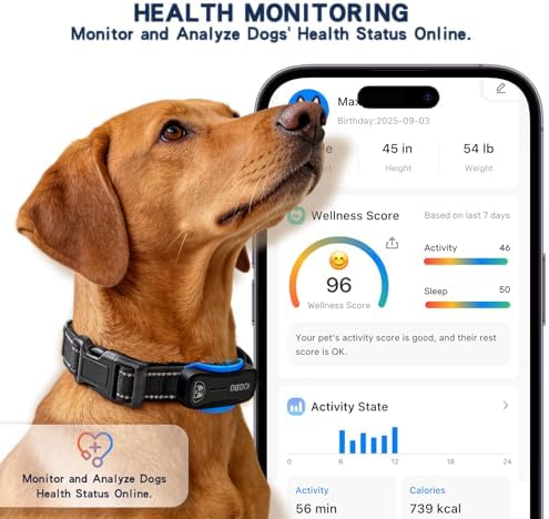 DBDD GPS Dog Tracker with Subscription,Virtual Fence&Health Monitor,IP67,BK