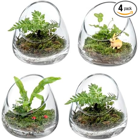 MyGift 5 Inch Premium Clear Glass Air Plant Terrarium, Tealight Candle Holder, Succulent Cactus Plant Vase, Set of 4