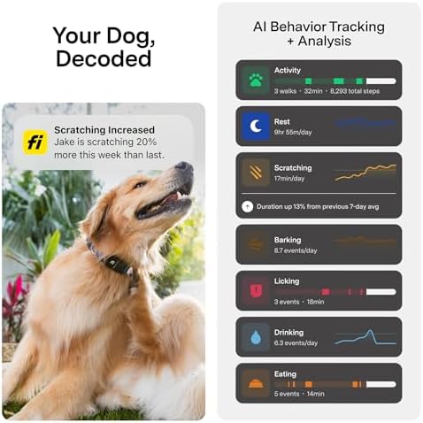 Fi Series 3+ Dog GPS Collar, X-Small Gray Dog Tracker, 12 Months Included | Live 24/7 location updates, escape alerts, activity and sleep insights, waterproof steel build, LED night light