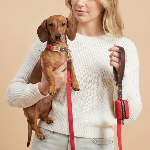 Personalized PU Leather Dog Collars, Quick Release Buckle, Red,S