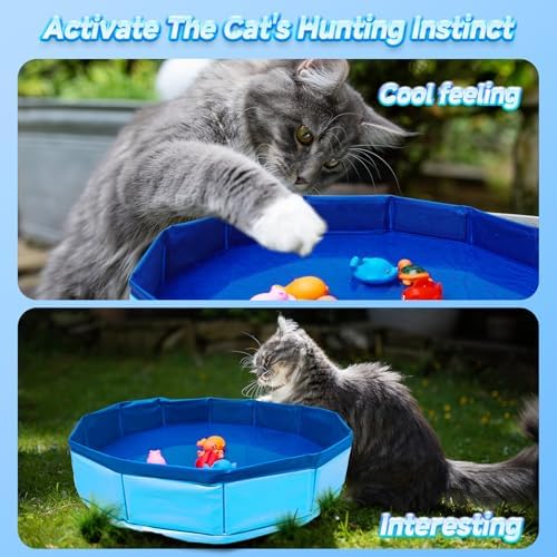 Eelexa Cat Pool Interactive Toys with 6 Fish-Shaped Toys[Water Pump Included], Interactive Splash-Proof Indoor Cat Toys for Boredom Relief, Self-Play Cat Pool for Bored Cats, Easy Fill & Drain Design