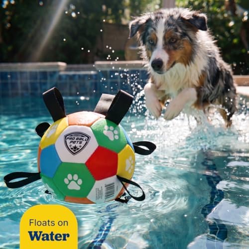 Maccabi Interactive Dog Soccer Ball for Dogs, 6” with Straps & Grab Tabs, Floats on Water, Fetch & Training Toy for Small/Medium Dogs, Herding Breeds, Waterproof Non-Toxic – ProBall Pets – Multicolor