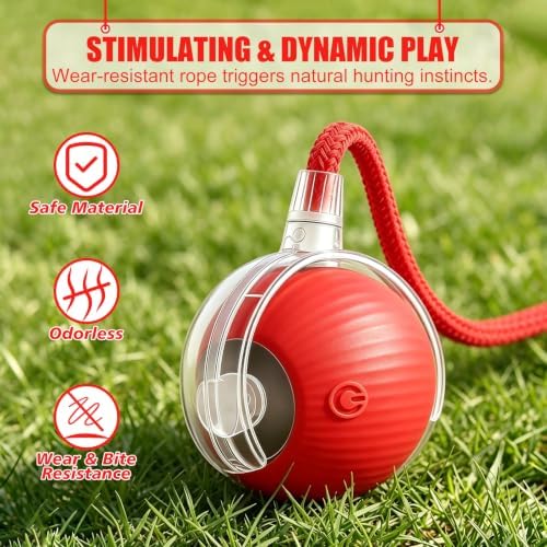 Automatic Interactive Rolling Cats Toys Ball for Indoor, Electric Automatic Rolling Pet Toy, 360° Smart Interactive Rolling Dog Ball Durable and Safe Material for Cat and Dog(Red)