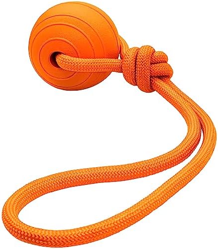 Floating Foam Dog Ball On a Rope Dog Toy, Tug Ball Toy for Small Medium Large Dogs