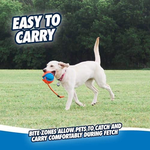 Chuckit! Rope Fetch Dog Toy, Ball on Rope, Durable EVA Rubber, 5.5-in