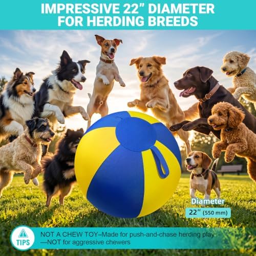 Herding Ball for Dogs Large for Australian Shepherd, Blue-Yellow L