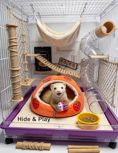 10 Pack Ferret Bell Ball Toys – Bright Interactive Play