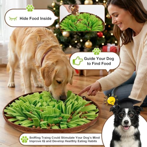 Casfuy Snuffle Mat for Dog Interactive Puzzle Dog Toy