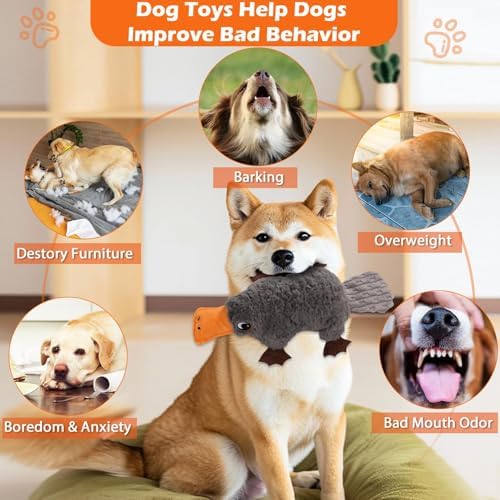 15" Squeaky Platypus Dog Toy, Plush Interactive Toy for Dogs
