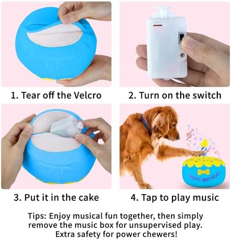 Dog Birthday Cake Toy, Larger Birthday Gift with Music Box