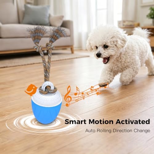 Interactive Dog Ball Toy for Medium & Large Dogs, Automatic Moving Dog Toy with Bird Sounds and Rope, USB Rechargeable Smart Ball with Fast & Slow Modes, 500mAh Dog Enrichment Toy