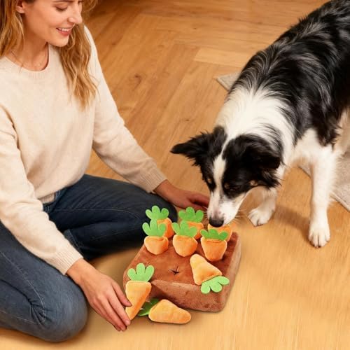 Sniff Mat for Dogs Interactive Games with Carrots