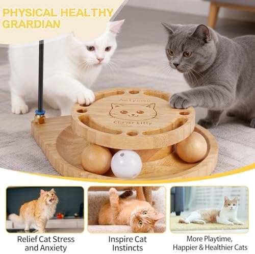 Cat Ball Track Toy, Interactive Cat Toy for Indoor Cats