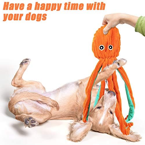 AWOOF 5 Pack Dog Squeaky Toys - No Stuffing, Durable Chew Toy Set for Puppy, Small to Large Dogs