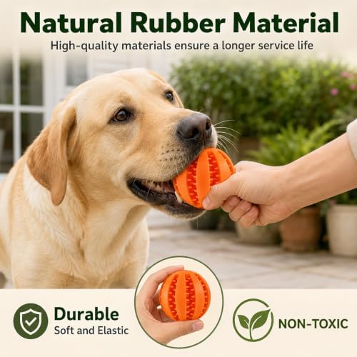GASHIK Dog Treat Ball for Dogs, Rubber Dental Chew Toy for Dogs