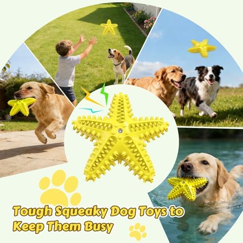 Dog Chew Toys Interactive Tough Floating Squeaky Toy