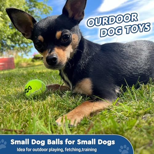 INSUM Tennis Balls for Dogs, 12 Pack Small Medium Dog Toys Balls